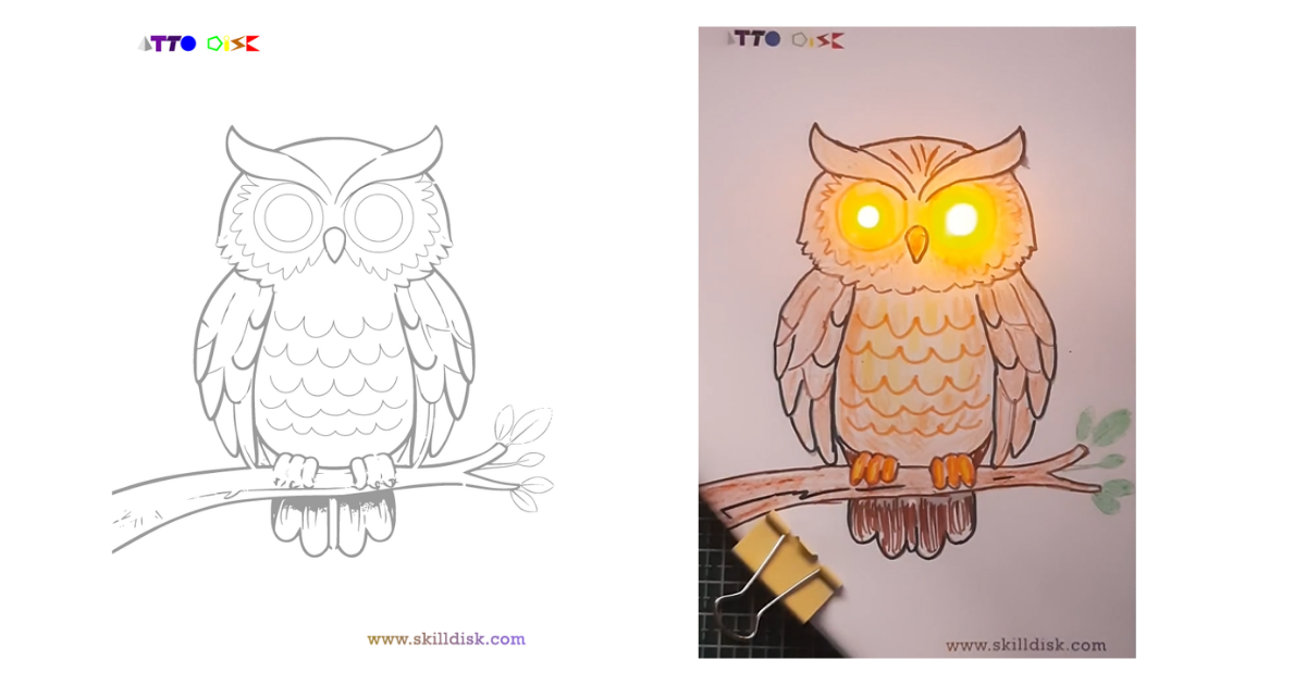 owl template